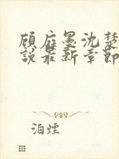 顾庭墨沈楚意小说最新章节免费阅读