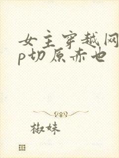 女主穿越网王cp切原赤也