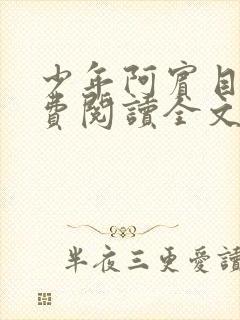 少年阿宾目录免费阅读全文无删减小说