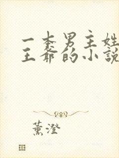 一本男主姓萧是王爷的小说