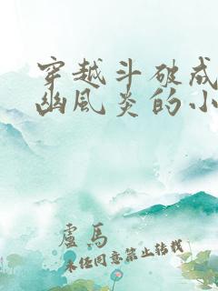 穿越斗破成为九幽风炎的小说