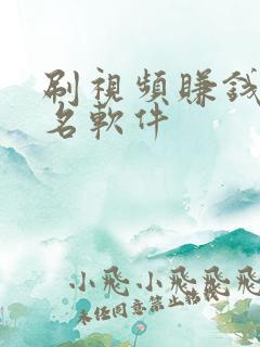 刷视频赚钱前十名软件