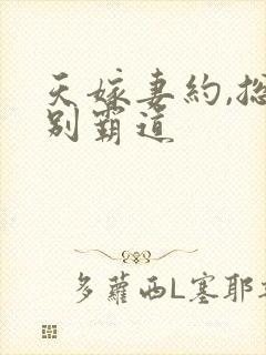 天嫁妻约,总裁别霸道