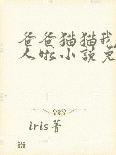 爸爸猫猫我变成人啦小说免费阅读