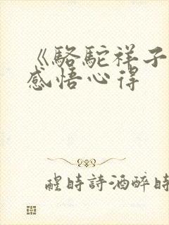 《骆驼祥子》的感悟心得