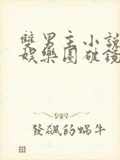 双男主小说推荐娱乐圈破镜重圆文