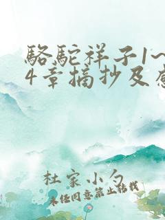 骆驼祥子1~24章摘抄及感悟