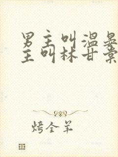 男主叫温晏清女主叫林甘棠的小说