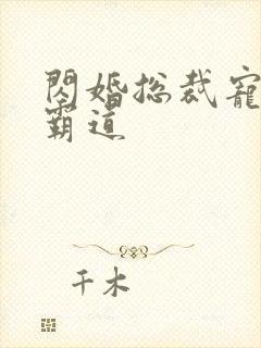 闪婚总裁宠妻太霸道