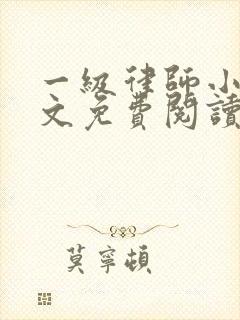 一级律师小说全文免费阅读无弹窗