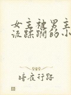 女主被男主们轮流蹂躏的小说