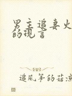 男主追妻火葬场的现言