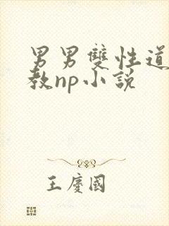 男男双性道具调教np小说