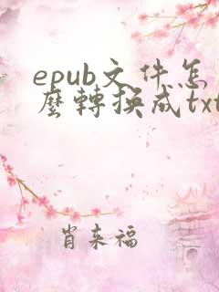 epub文件怎么转换成txt