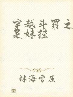 穿越斗罗之唐三是妹控