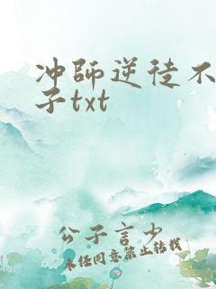 冲师逆徒不是圣子txt