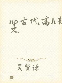 np古代高h辣文