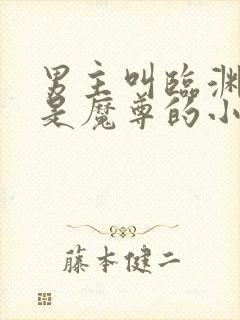 男主叫临渊女主是魔尊的小说