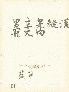 男主是糙汉的甜宠文肉