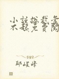 小说总裁爹地惹不起免费阅读