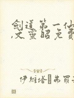 剑道第一仙苏奕,文灵昭免费阅读