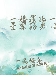 一婚还比一婚高晨雾的光 小说