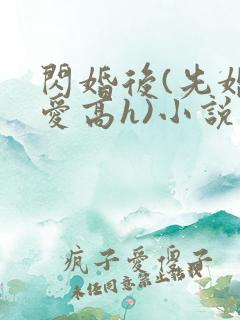 闪婚后(先婚后爱高h)小说