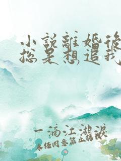 小说离婚后前夫总是想追我免费读