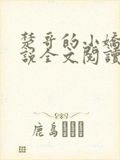 楚哥的小娇妻小说全文阅读免费