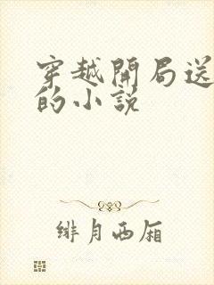 穿越开局送老婆的小说