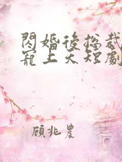 闪婚后总裁把我宠上天短剧免费观看