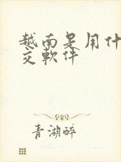 越南是用什么社交软件