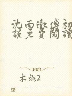 沈南彻傅初安小说免费阅读最新章节