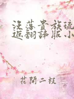 没落贵族琉璃无遮翻译版小说