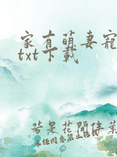 家有萌妻宠上天txt下载