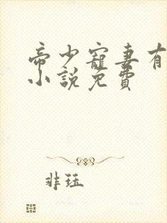 帝少宠妻有点甜小说免费