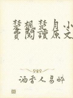 楚枫楚月小说免费阅读原文