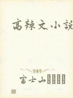 高辣文小说在线