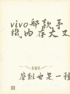 vivo哪款手机内存大又便宜