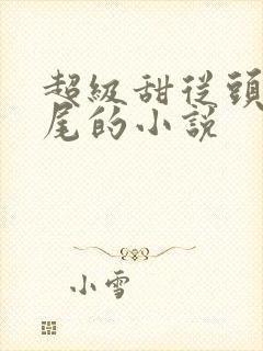 超级甜从头甜到尾的小说