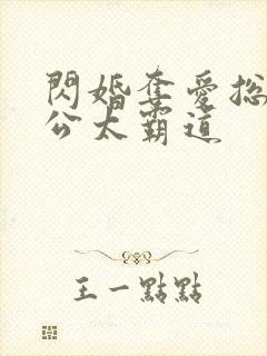 闪婚夺爱总裁老公太霸道