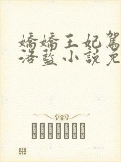 娇娇王妃驾到水洛蓝小说免费阅读