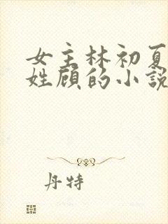 女主林初夏男主姓顾的小说
