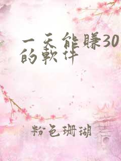 一天能赚30元的软件