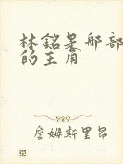 林铭是哪部小说的主角