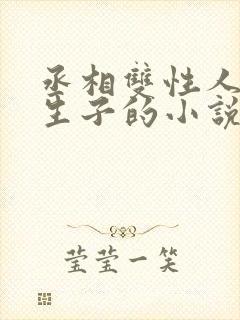 丞相双性人是受生子的小说