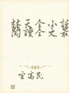 林天全小说免费阅读全文最新章节