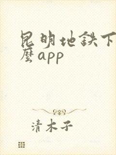 昆明地铁下载什么app