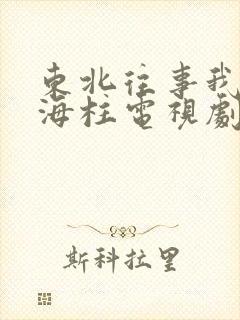 东北往事我叫刘海柱电视剧