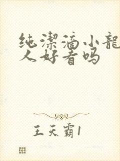 纯洁滴小龙捞尸人好看吗
